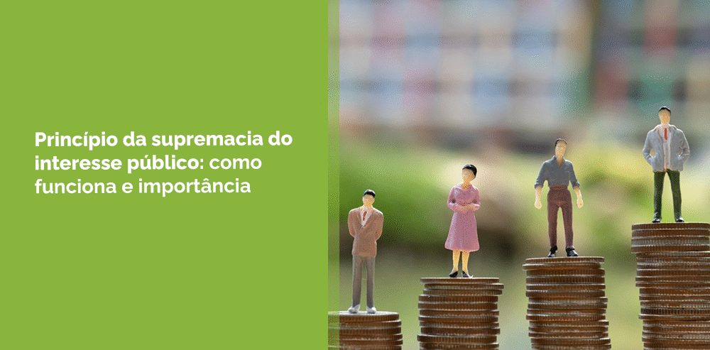 princípio da supremacia do interesse público